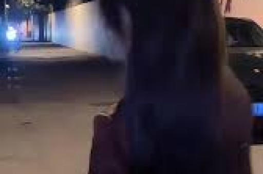 郑爽案件查处彰显公平正义警示影视从业者加强自律